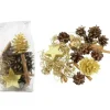 Riffelmacher et Weinberger Pot Pourri Melange Pomme De Pin, Cannelle, Mousse, Déco, 100 G