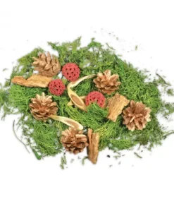 Riffelmacher et Weinberger Pot Pourri Melange Pomme De Pin, Mousse, Foret, 80 G